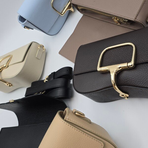 natūralios odos rankinės su aukso spalvos sagtimi skirtingų spalvų kolekcija